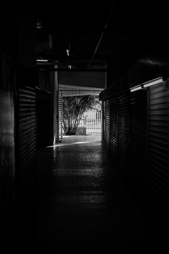 Photograph by Luis Alfredo Morales Torres