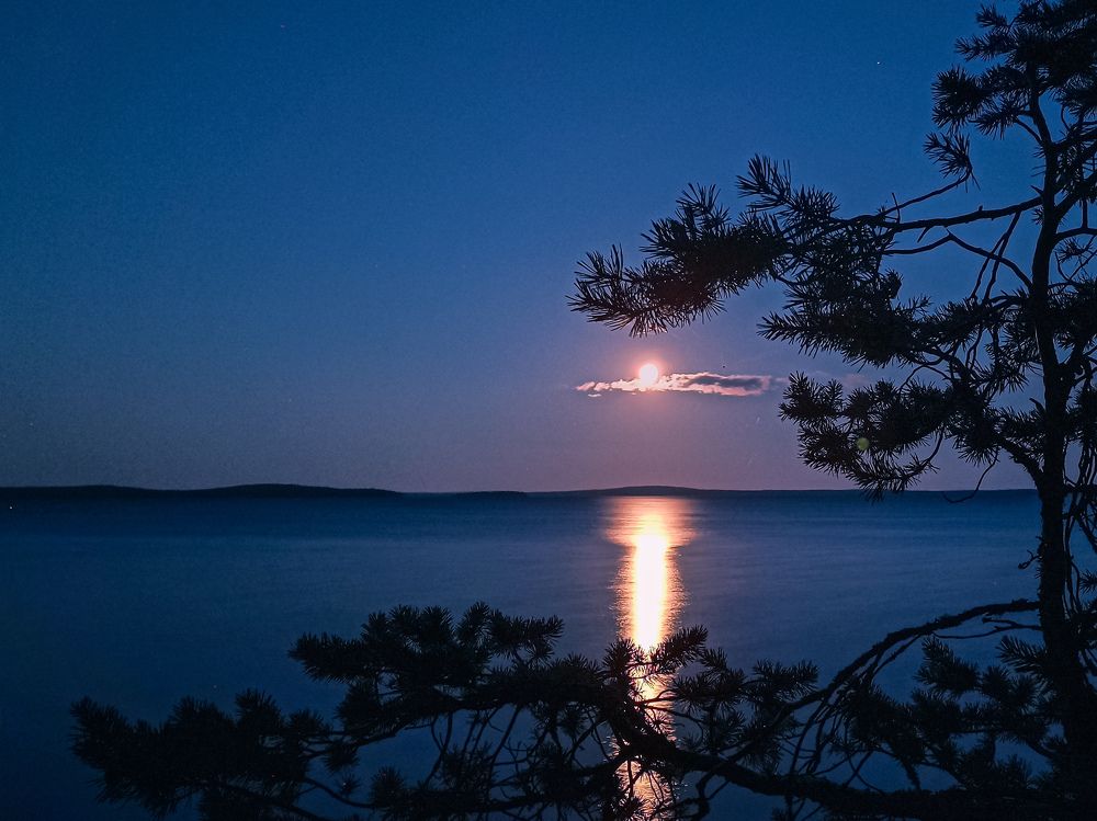 Фотография автора Alexander Gordon