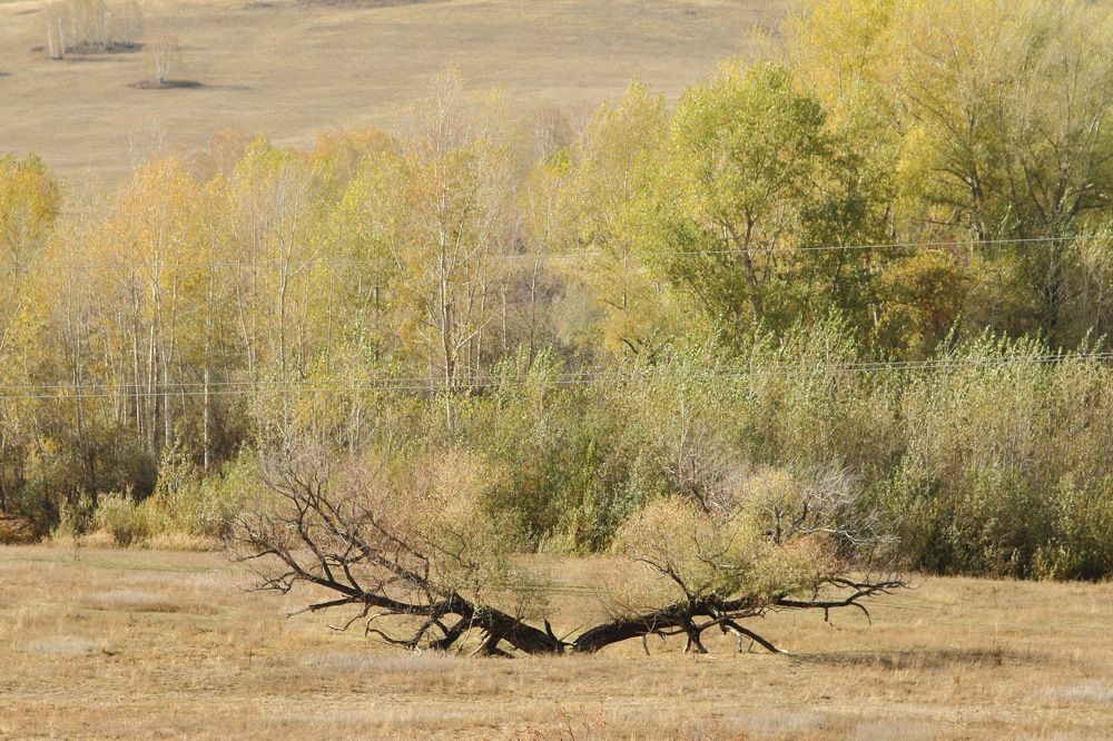 Фотография автора Михаил Кротков