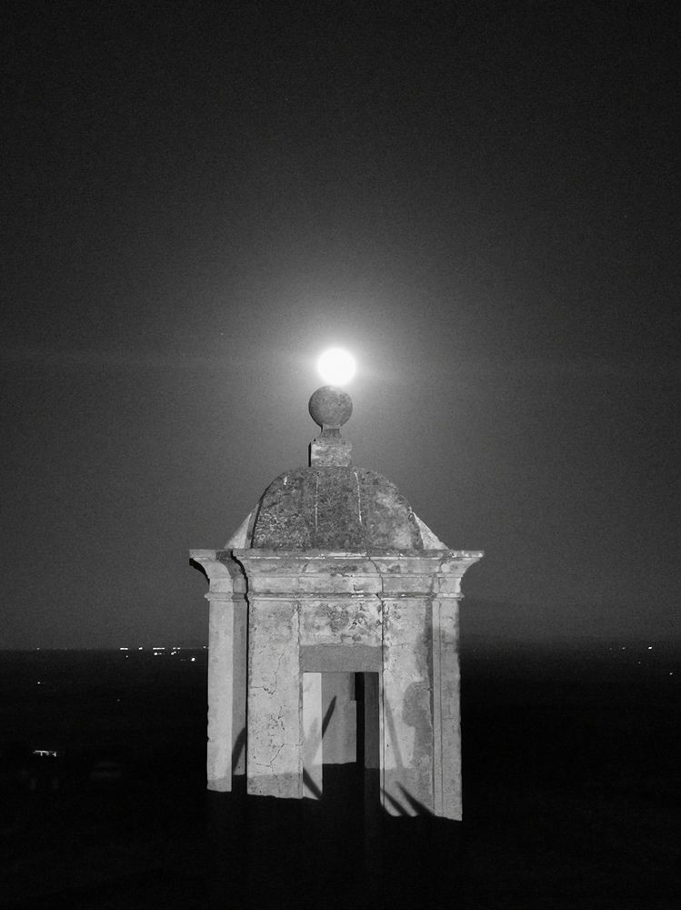 Photograph by Teresa Guerreiro