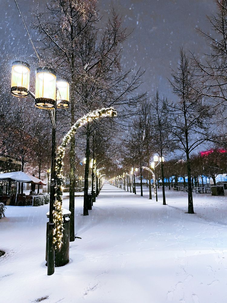 Photograph by Бадаев Антон