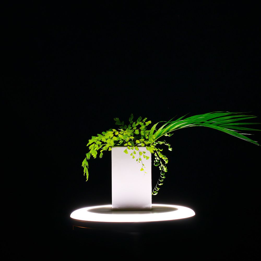 Фотография автора Kirill Pavlov