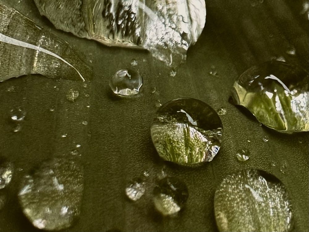 Photograph by Ольга Барулина