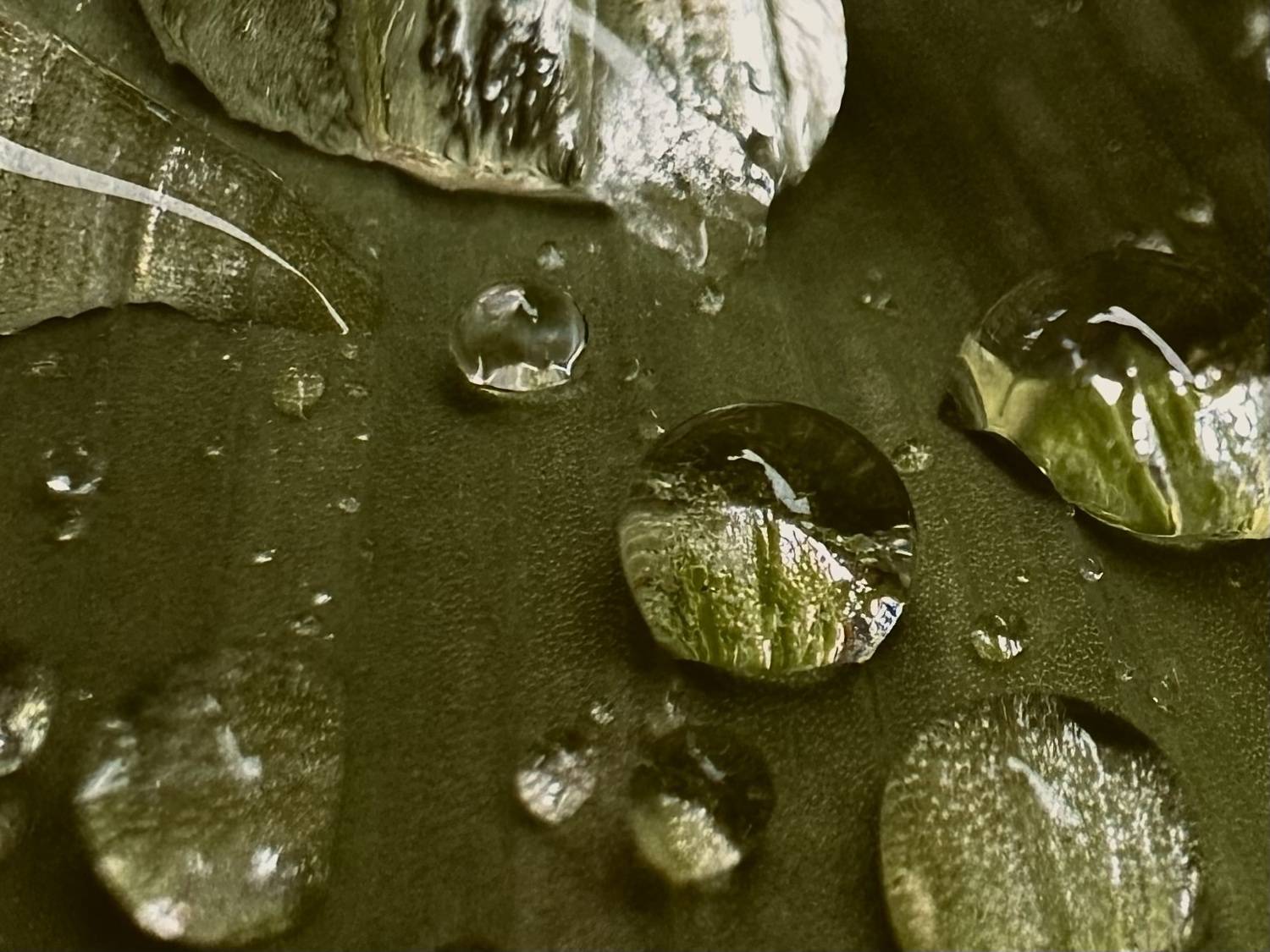Photo #9305140