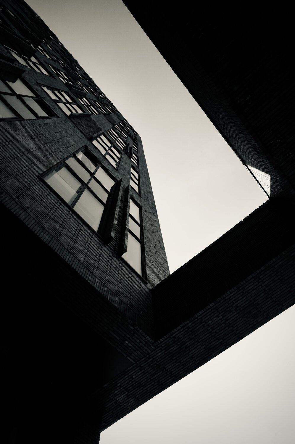 Photo #9305158