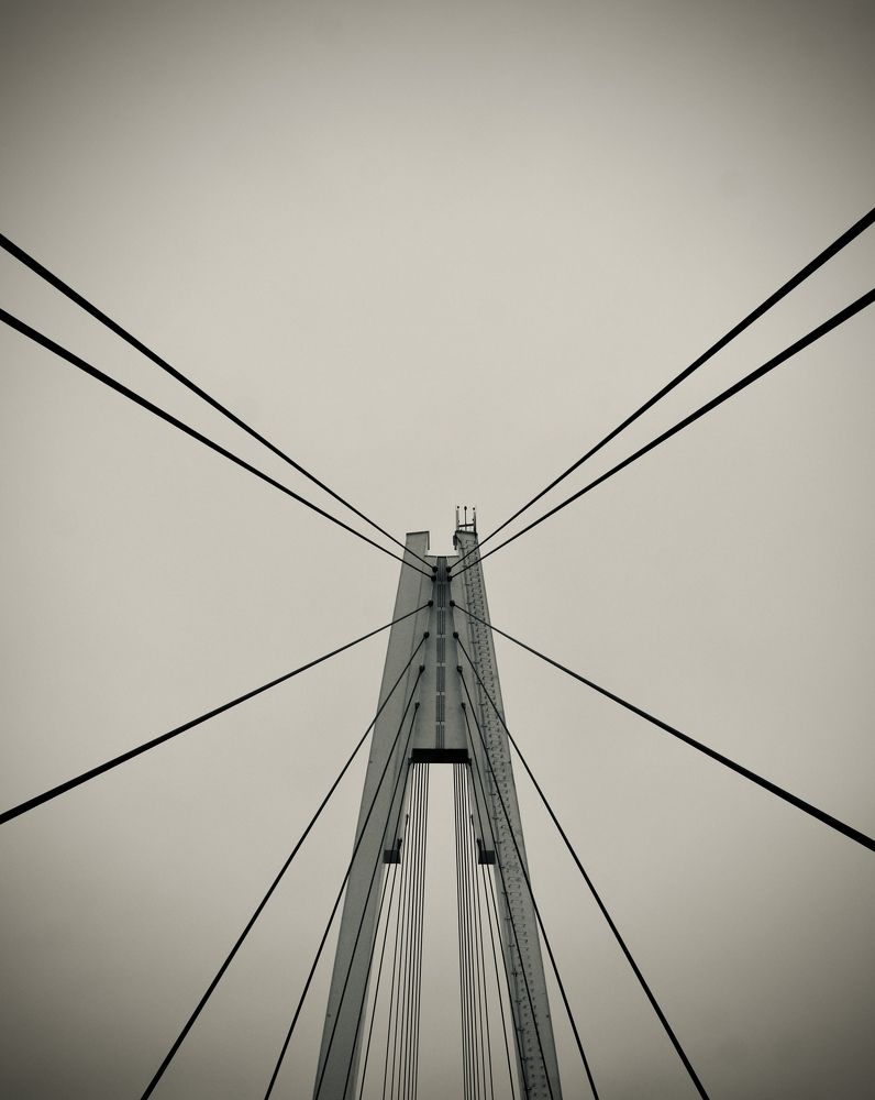 Photograph by Елизавета