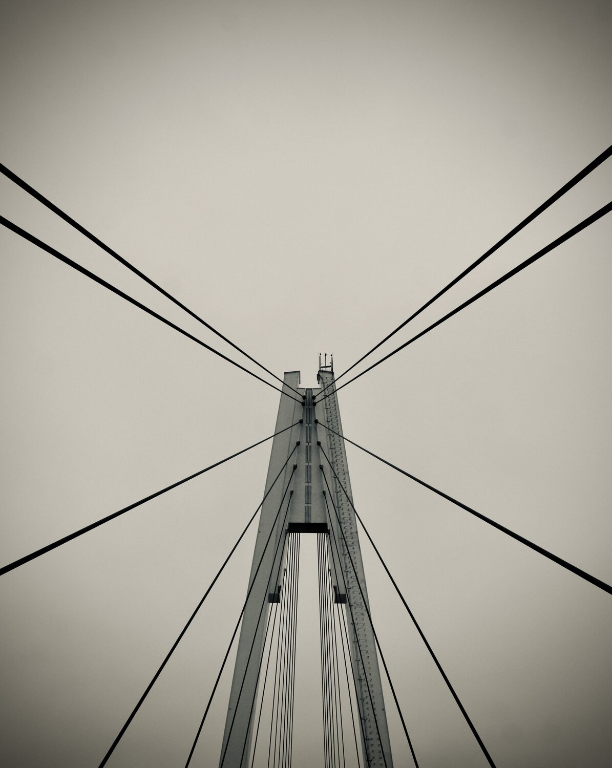 Photo #9305191