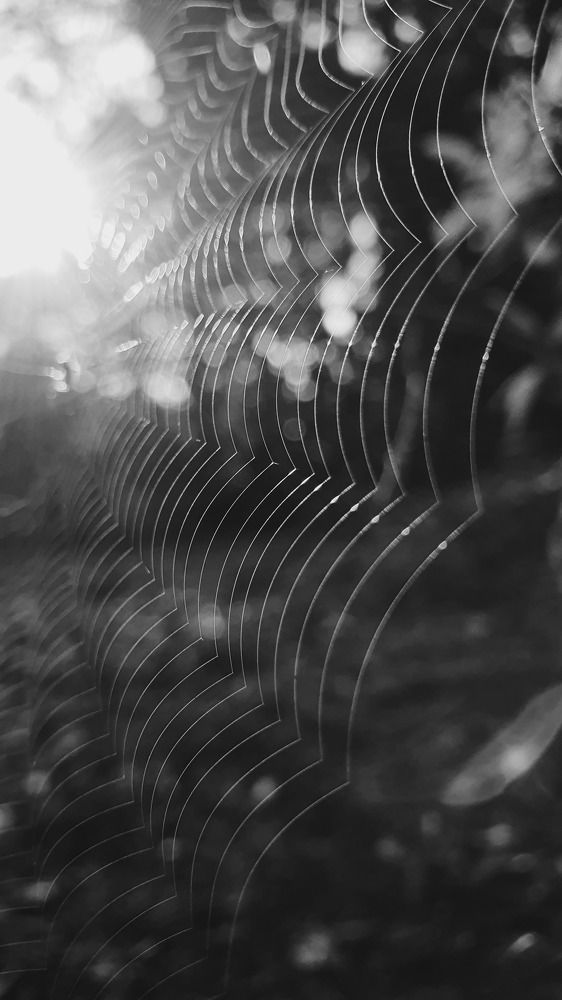 Photograph by Dâmaris Ferrão