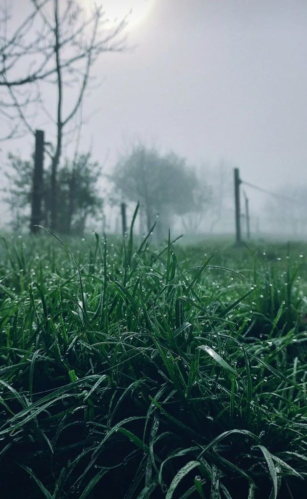 Photograph by Alina Berns