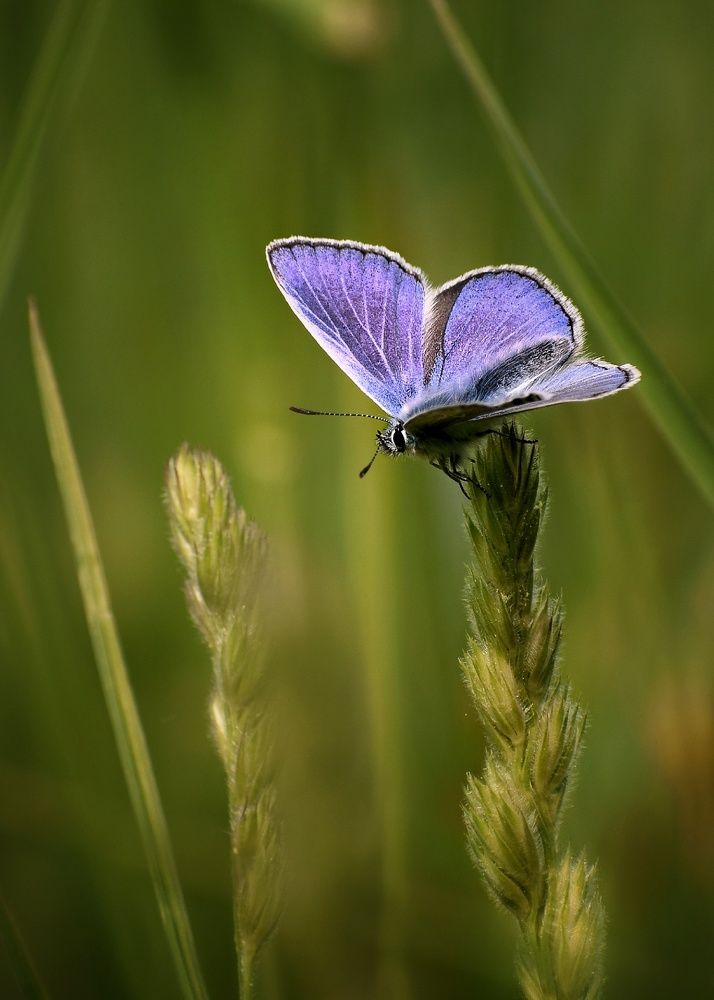 Photograph by Юлия