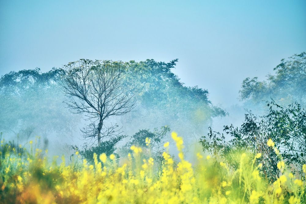 Photograph by Ashish Kalsarpe