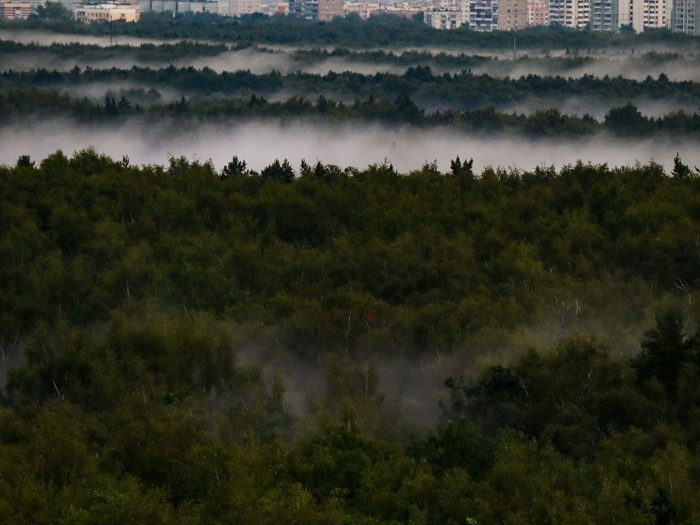 Photograph by Лия Маликова