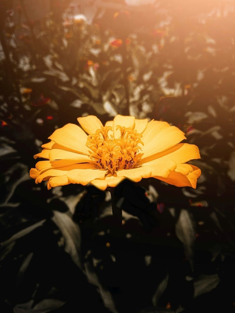 What makes you beautiful