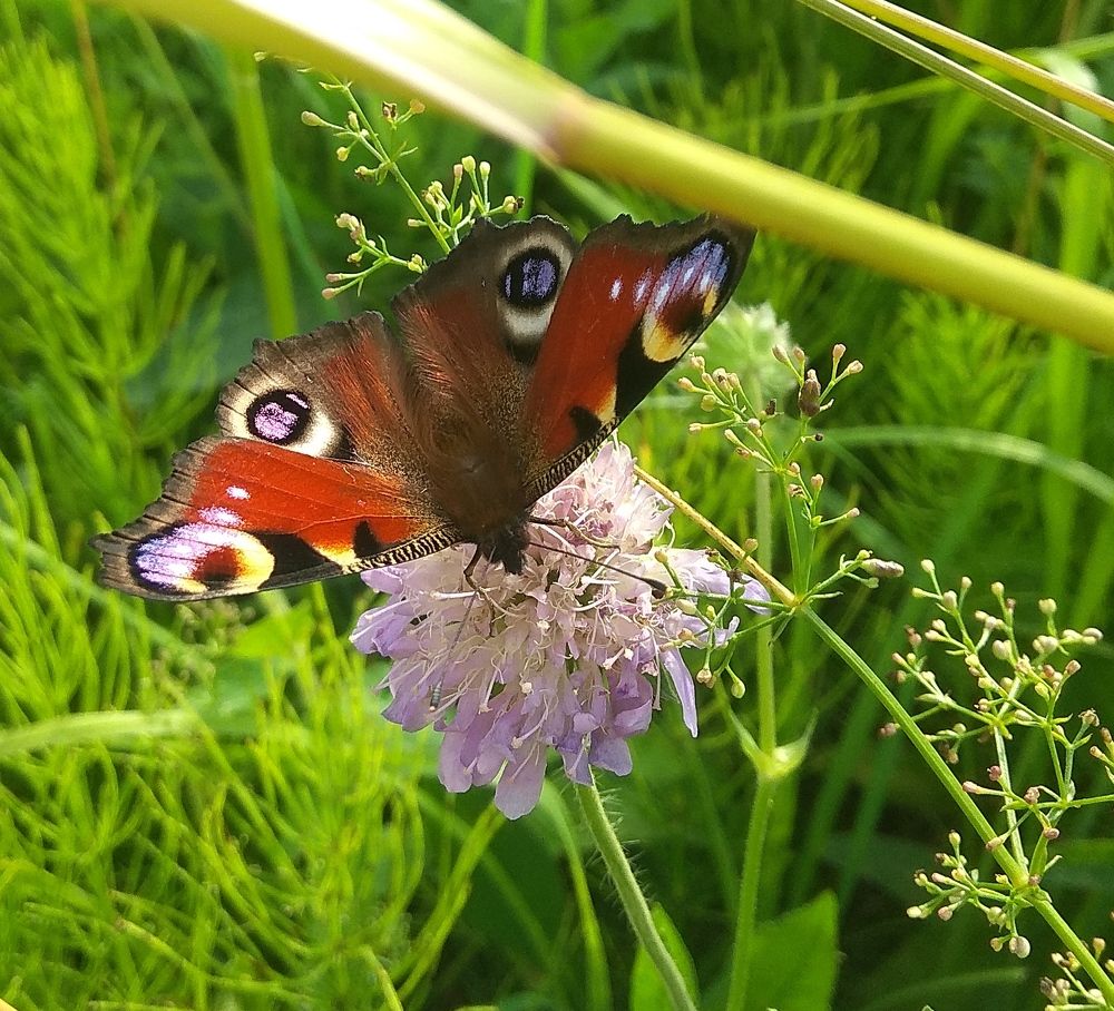 Photograph by Татьяна Кунц