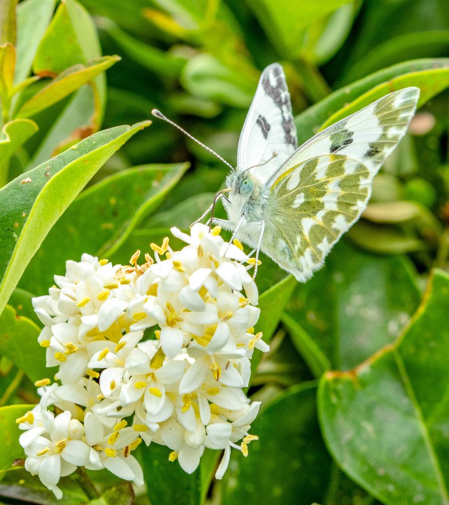 Photograph by Владимир Самосватов