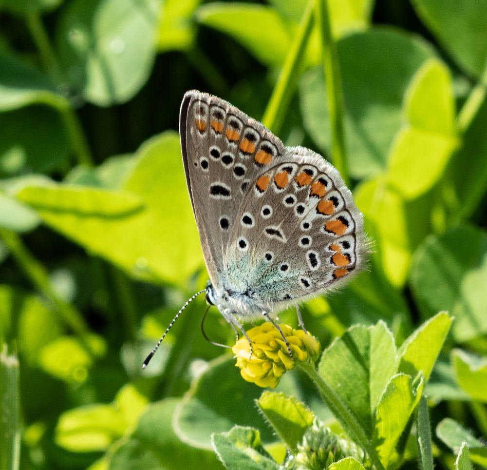 Photograph by Владимир Самосватов