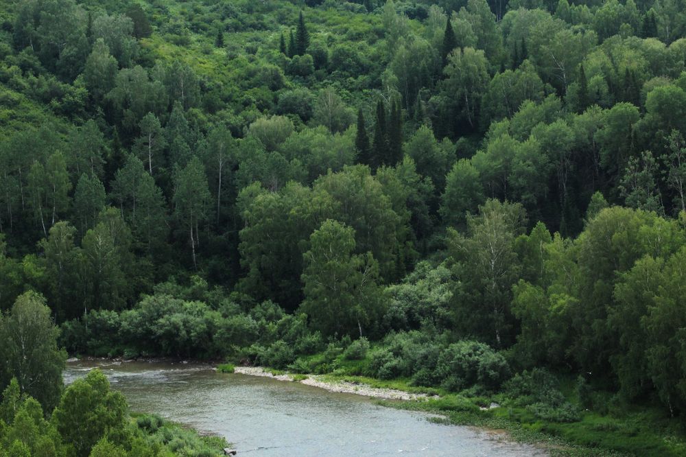 Photograph by Елена Сахарова