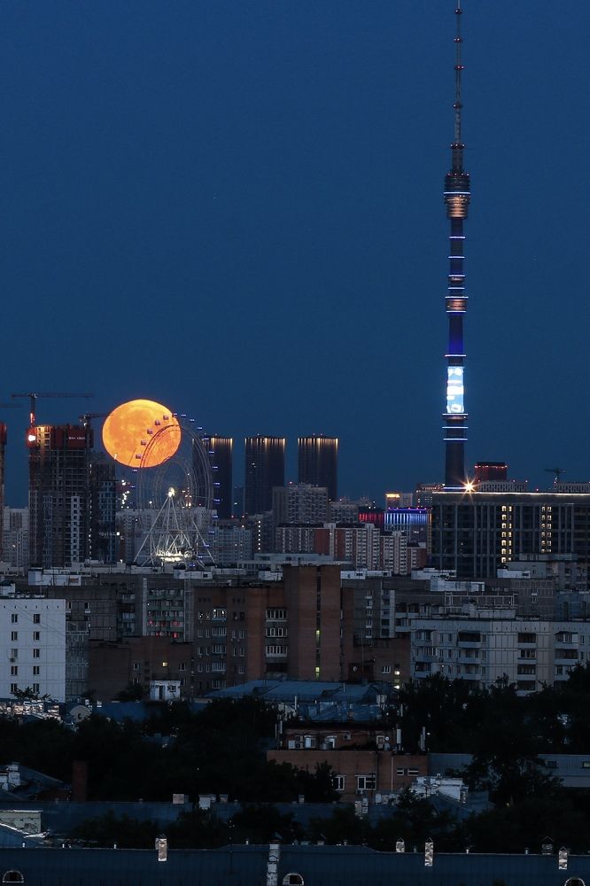 Photograph by Светлана Долгих