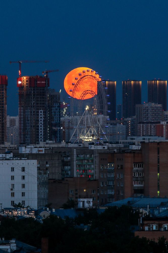 Photograph by Светлана Долгих