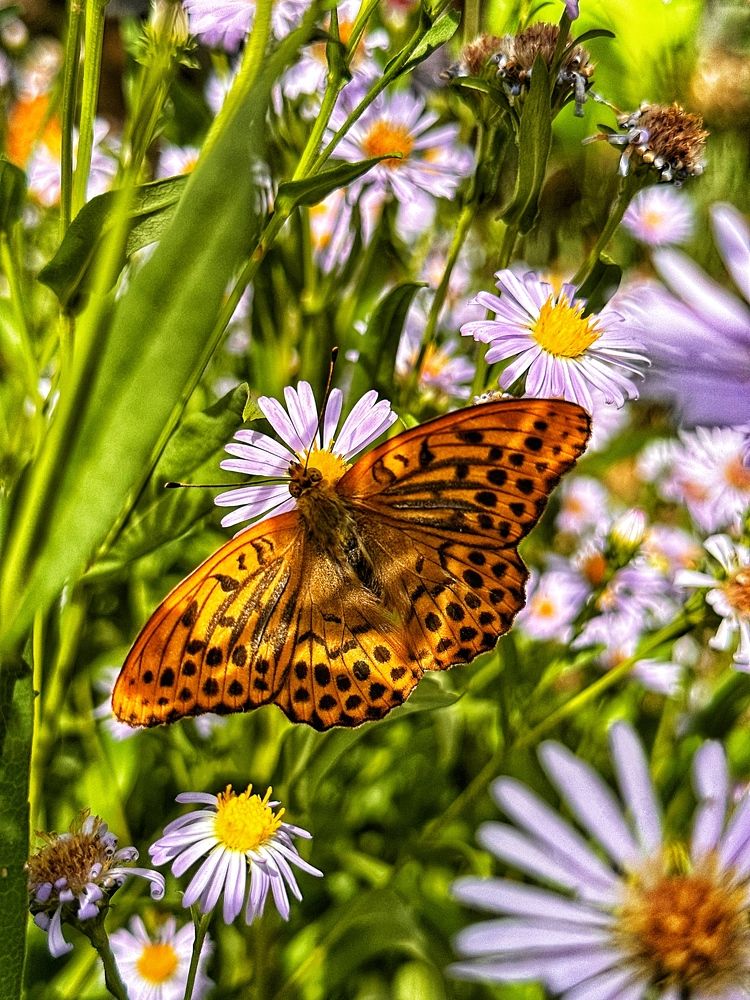 Photograph by Екатерина Целовальникова