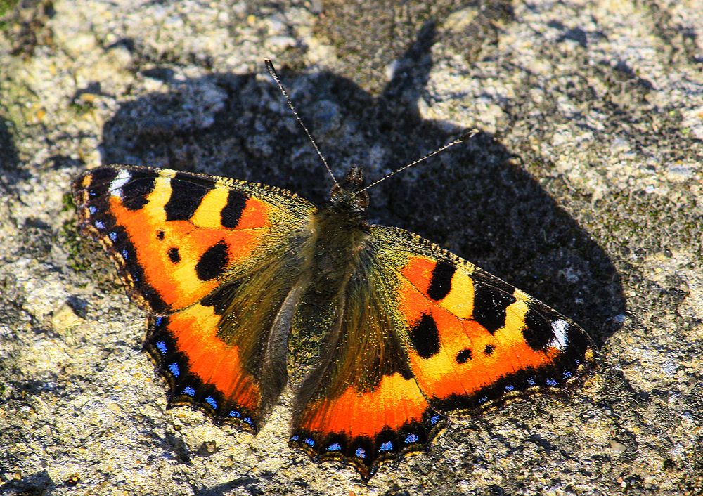 Photograph by Евгений Гонтов