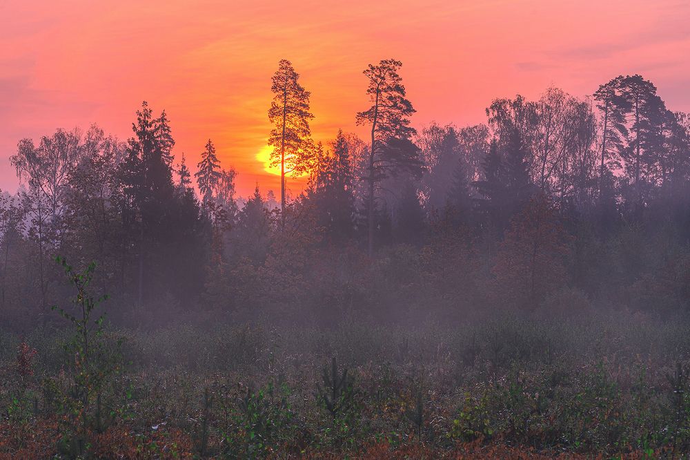 Photograph by Евгений Гонтов