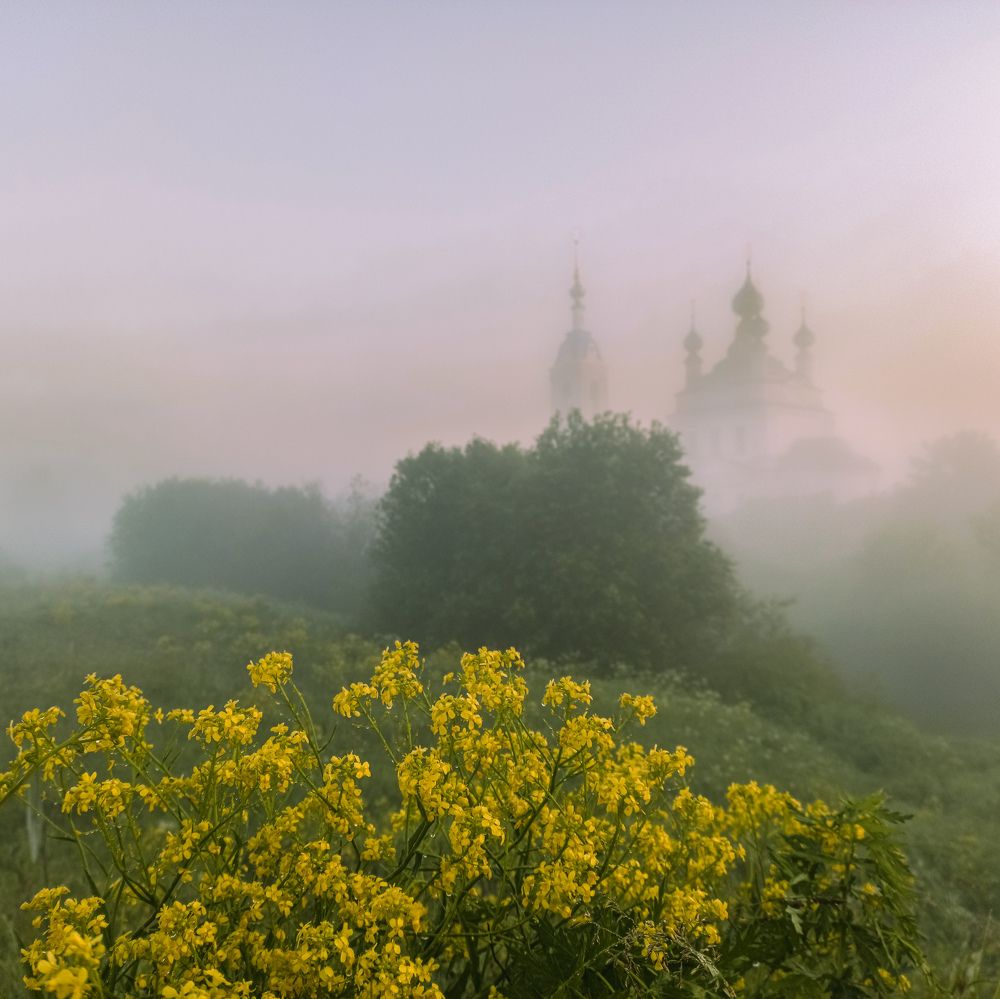Туманный рассвет в селе Савинское, Ярославская область