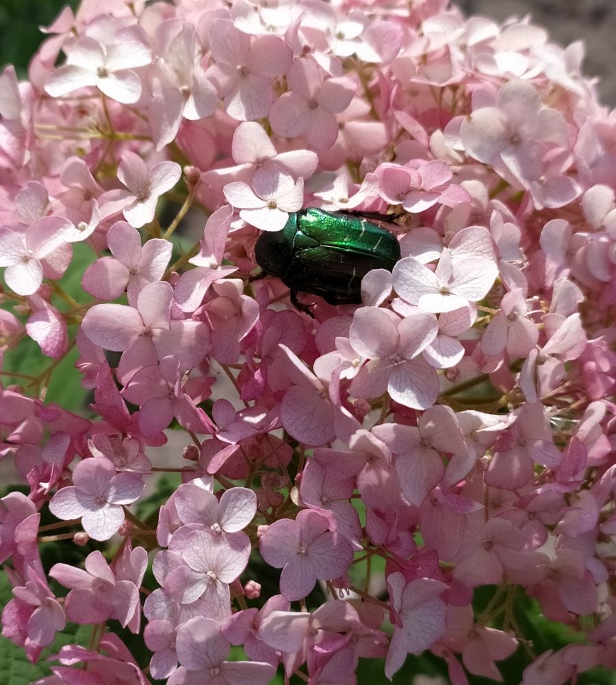 Photograph by Татьяна Клемба