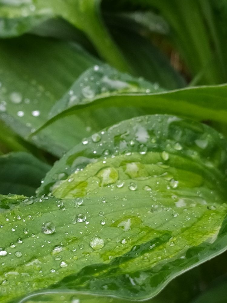 Photograph by Татьяна Клемба