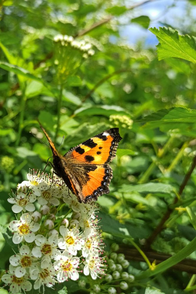 Фотография автора Alexander Gordon