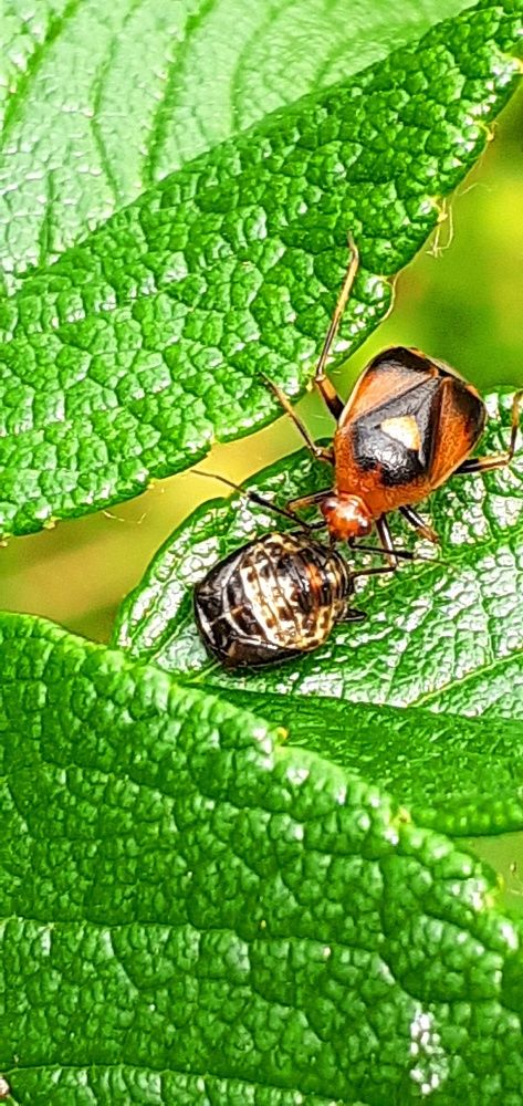 Photograph by Евгения Ульянова