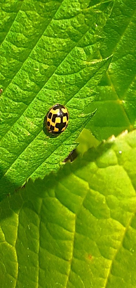 Photograph by Евгения Ульянова