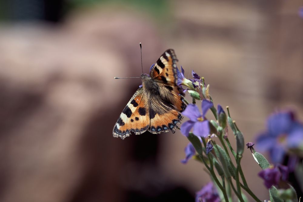 Photograph by Дмитрий Тельнов