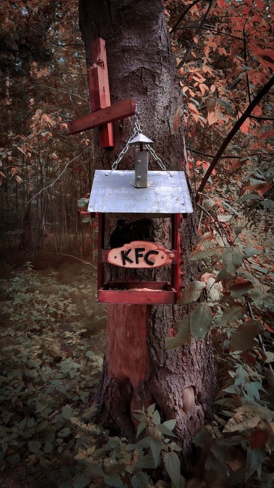 Photograph by Денис Ольгович