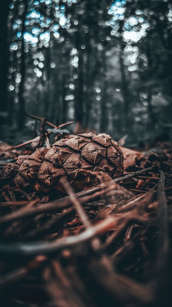 Photograph by Денис Ольгович