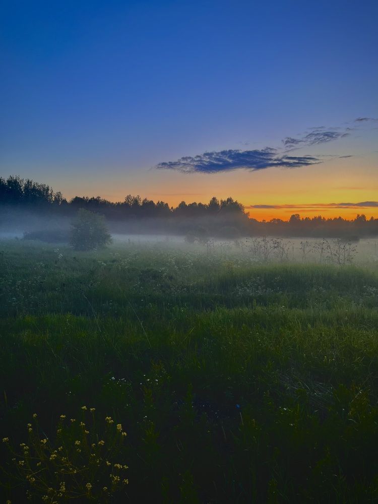 Photograph by Настя