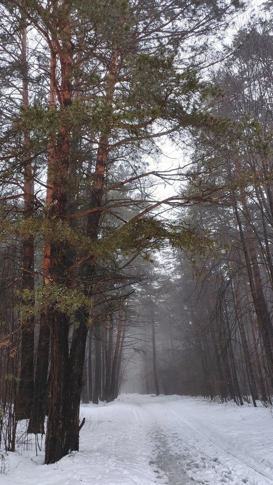 Photograph by Мария Иванова