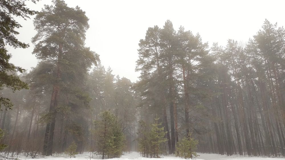 Photograph by Мария Иванова