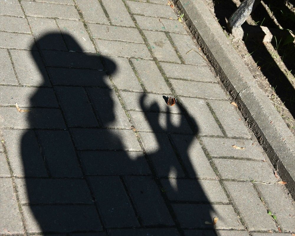 Photograph by Яна Обозная
