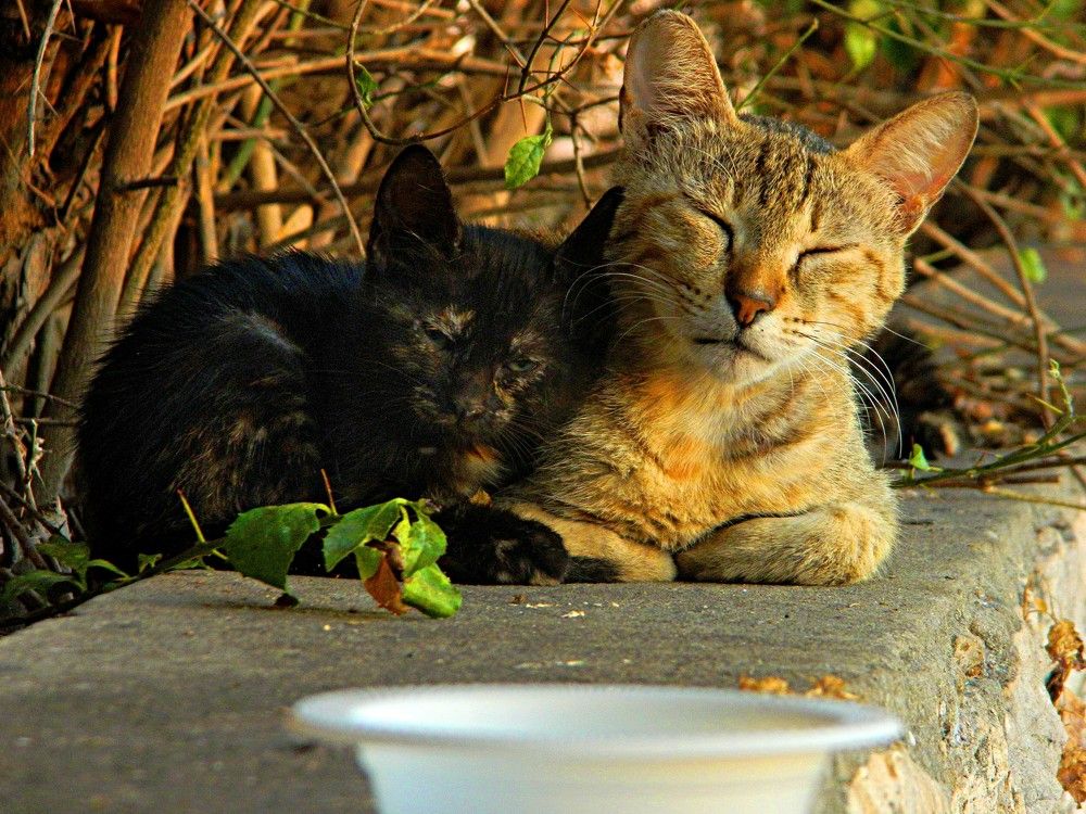 Photograph by Сергей Рапопорт