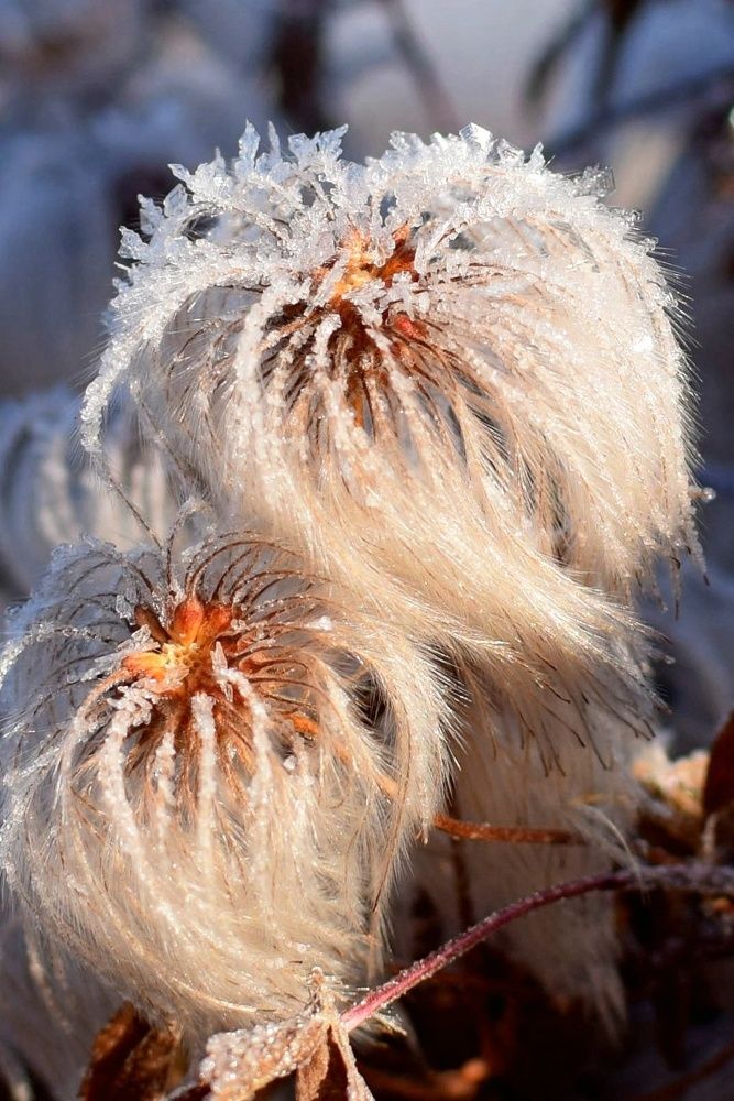 Photograph by Юлия