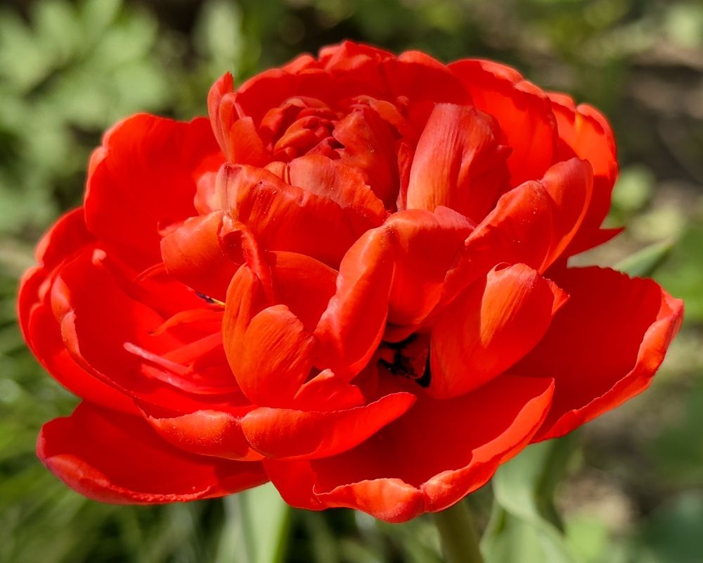 Photograph by whynot_takeapicture