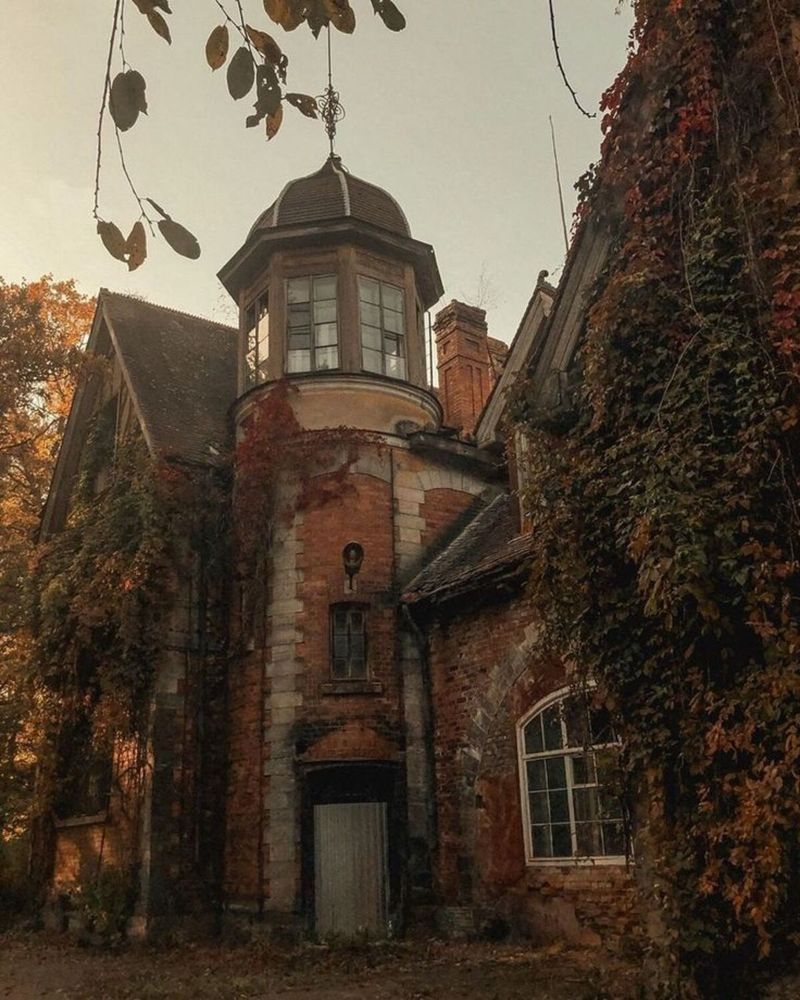 Фотография автора Lina Denisowa