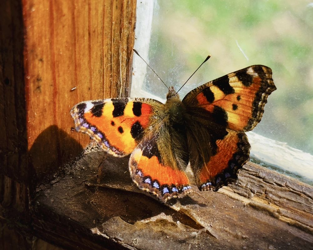 Photograph by whynot_takeapicture