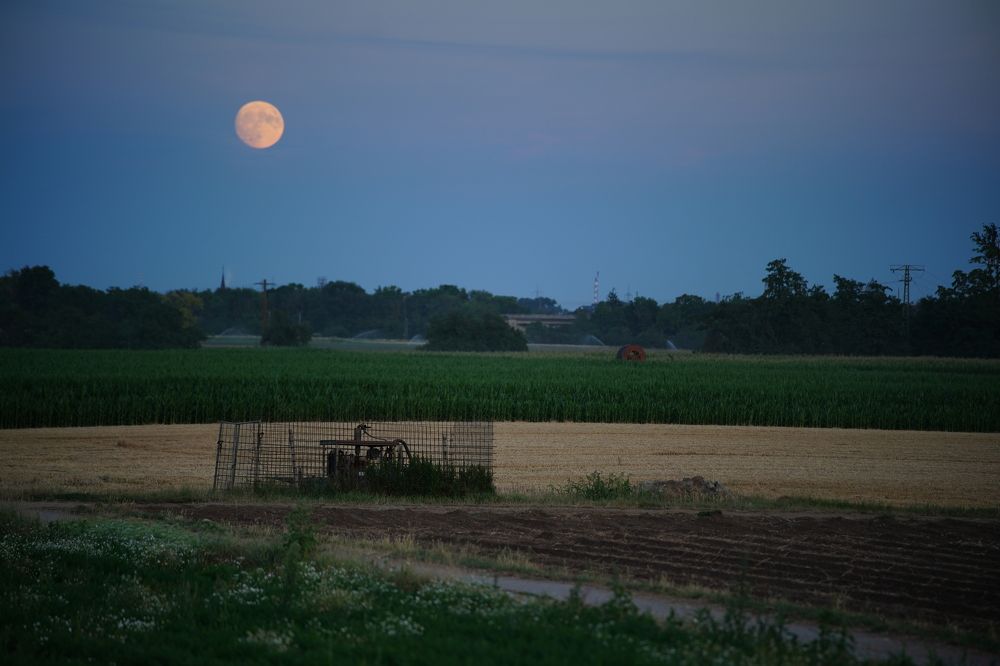 Photograph by Vadim Heinz