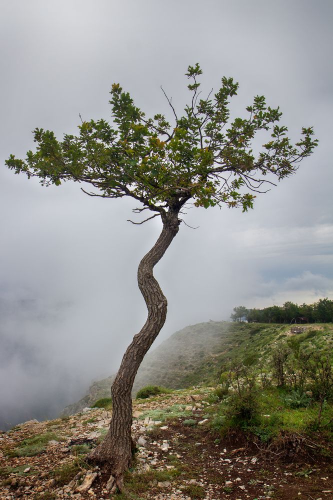 Photograph by Анна Липоткина