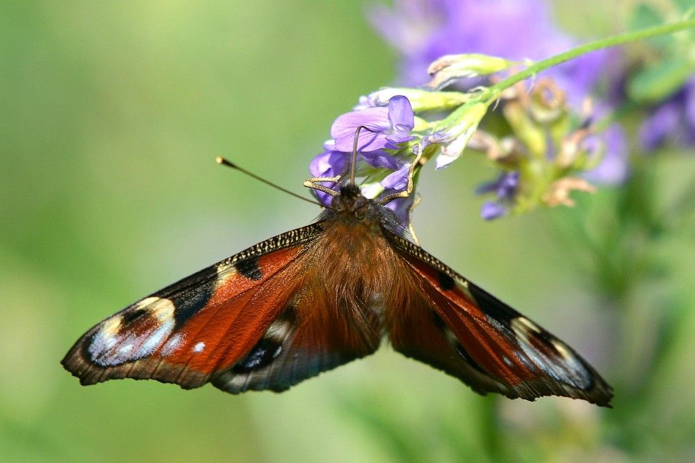 Фотография автора Садыков