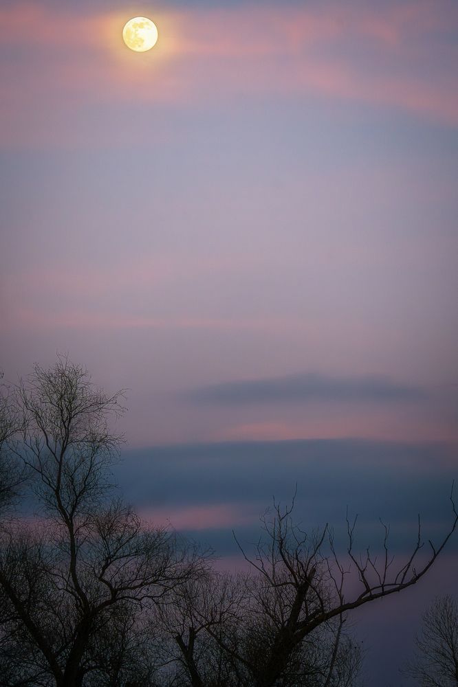 Photograph by Vadim Heinz