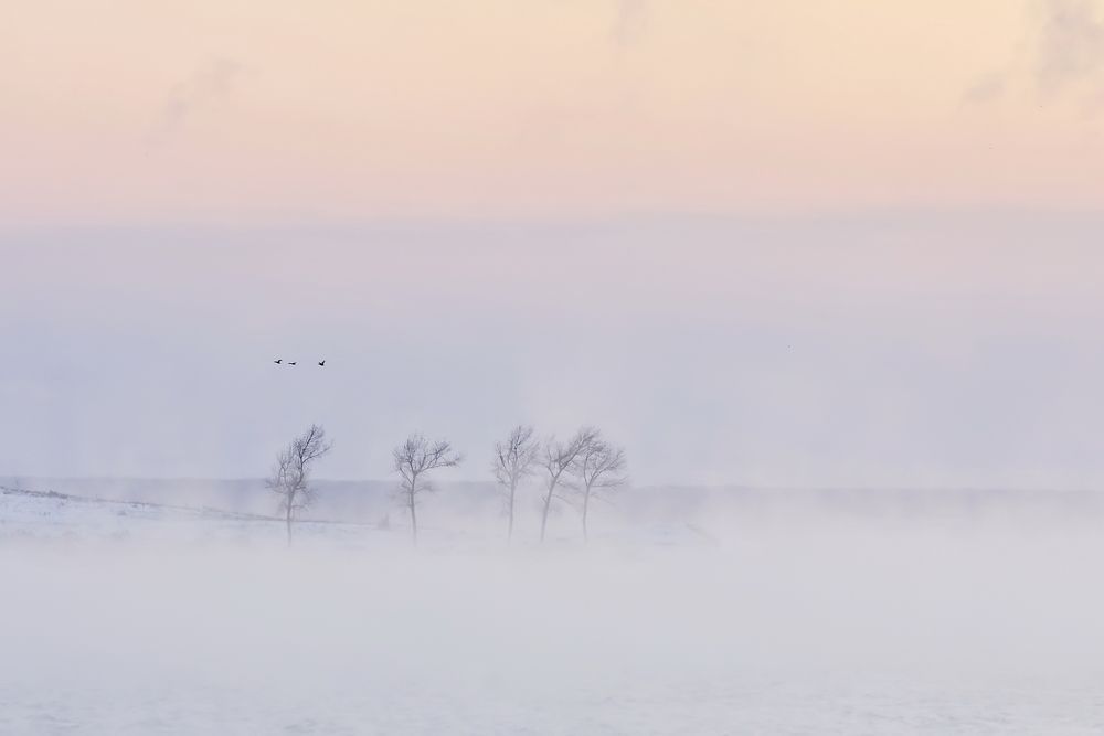 Photograph by Арсен Алабердов