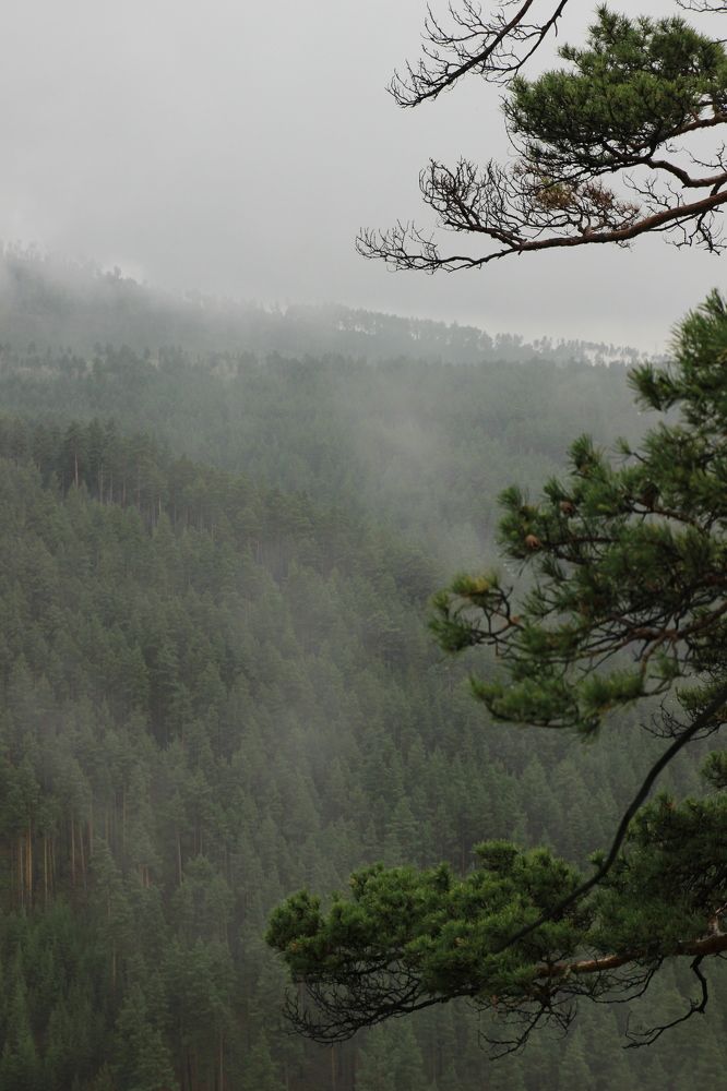 Photograph by Светлана Шелухеева